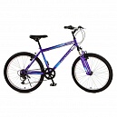 Горный велосипед подростковый 24" для девочки и мальчика TOPGEAR Forester